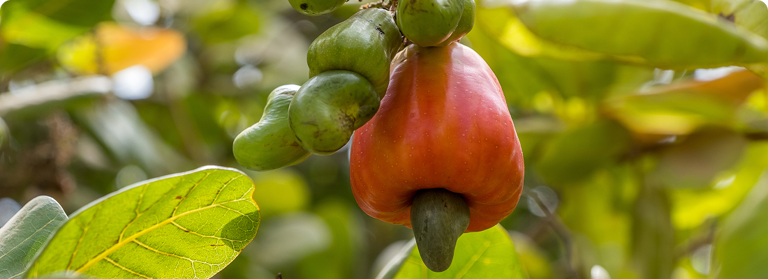 Agricultural commodities